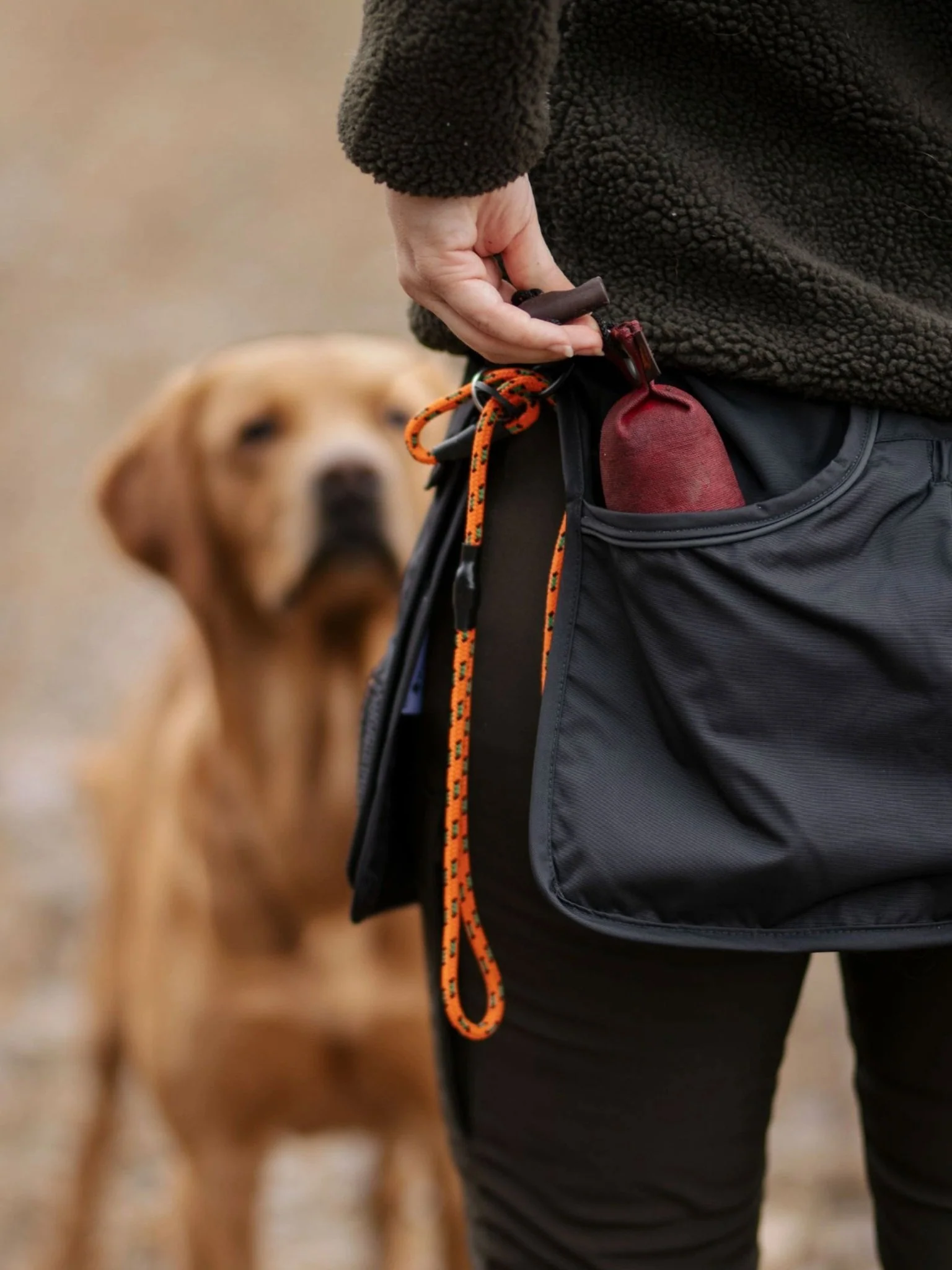 Pinewood - Pinewood Premium Dog Sports waist belt / Dog Training belt / utility belt - Image 7