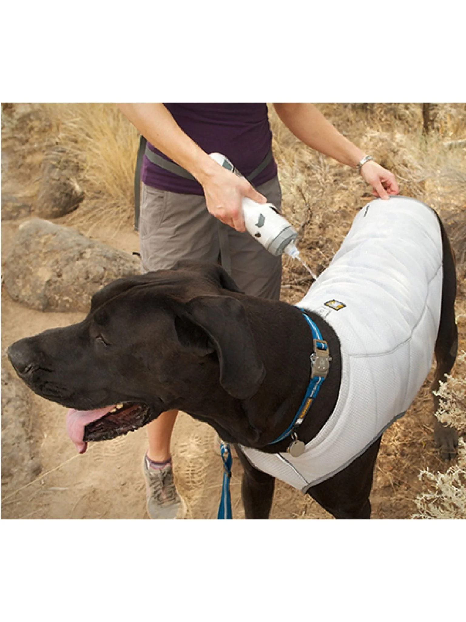 Ruffwear - Swamp Cooler™ Premium Dog Cooling Vest - Buckle Version - Image 2